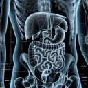 МРТ органів черевної порожнини